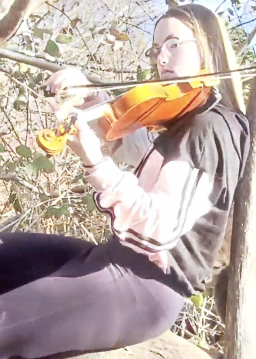 Playing violin in a tree